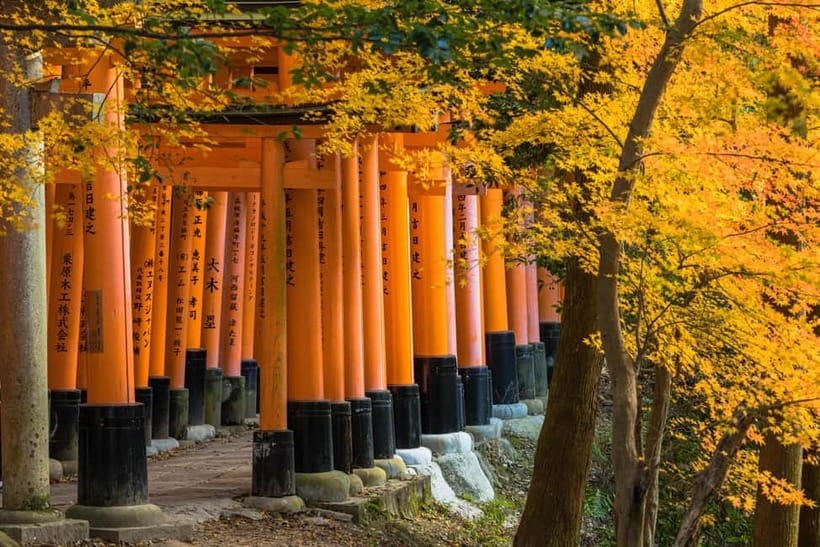 From Kyoto/Osaka: Kyoto Top Highlights 1-Day Guided Bus Tour - Walking, weather, and the pace you should expect