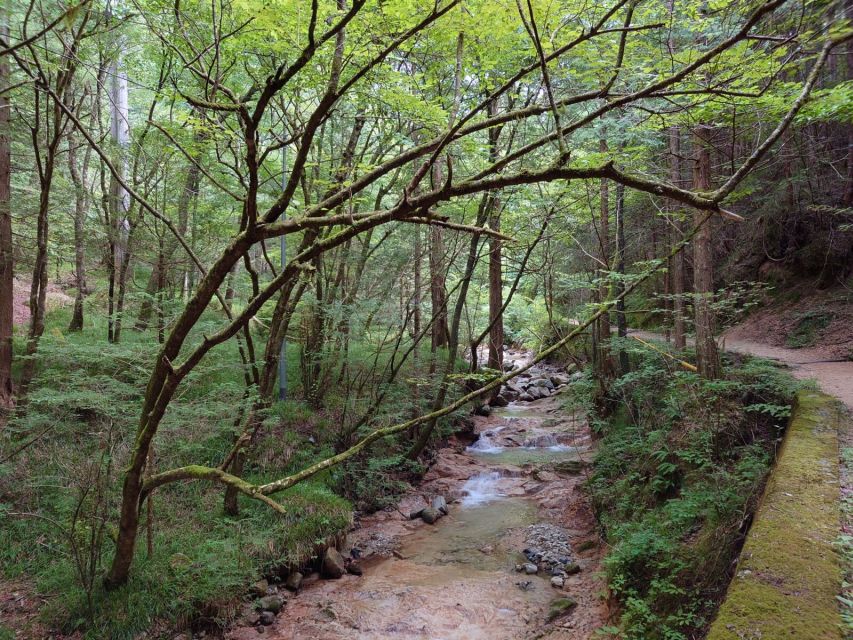 From Matsumoto/Nagano: Nakasendo Trail Walking Tour - The guide can make or break the day