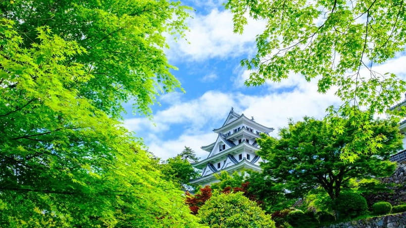 From Nagoya: Gujo, Hida Takayama, and Shirakawa-go Day Tour - My recommendation