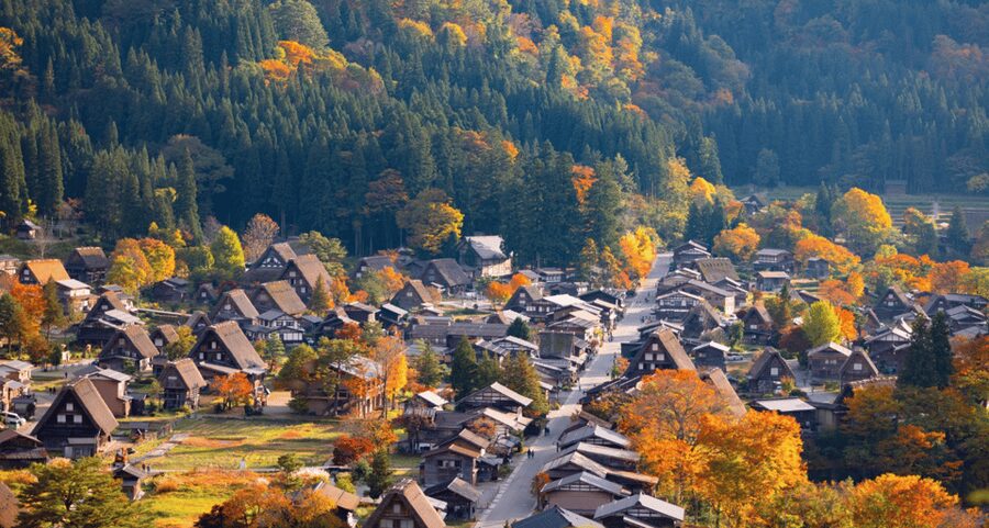 From Nagoya: Hida Takayama & Shirakawa-go Tour w/Opt. Lunch - Should you book the Takayama and Shirakawa-go tour?