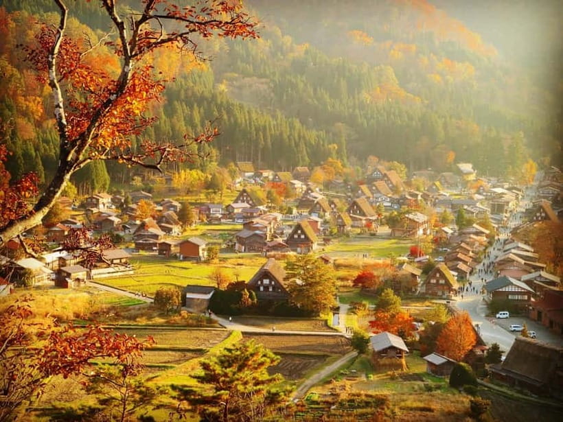 From Nagoya: Hida Takayama & Shirakawa-go Tour w/Opt. Lunch - Shirakawa-go and the steep roofs built for snow