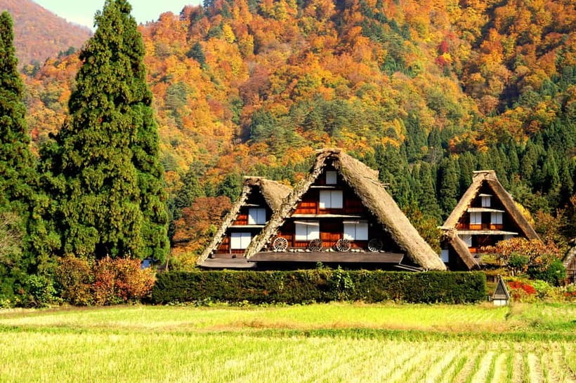 From Nagoya: Hida Takayama & Shirakawa-go Tour w/Opt. Lunch - What the guides add to a self-guided day