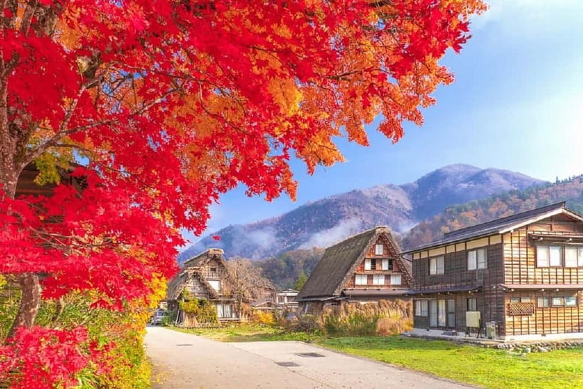 From Nagoya: Shirakawa-go & Hida-Takayama Full Day Trip - Key points to know before booking