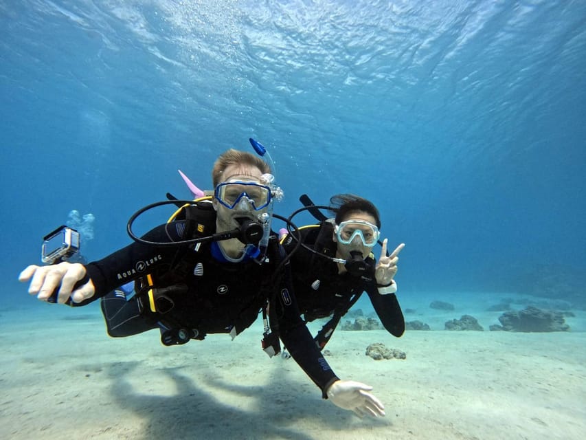 From Naha Scuba Diving Trip in Kerama(for certified divers) - Why this trip is worth considering