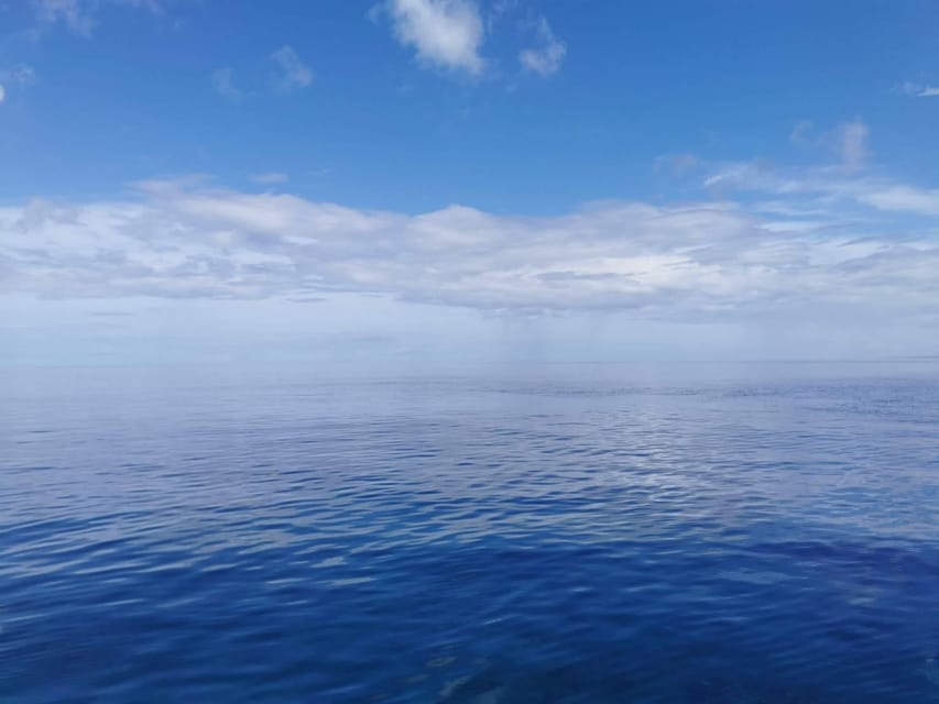From Naha Scuba Diving Trip in Kerama(for certified divers) - Underwater photos from the guides