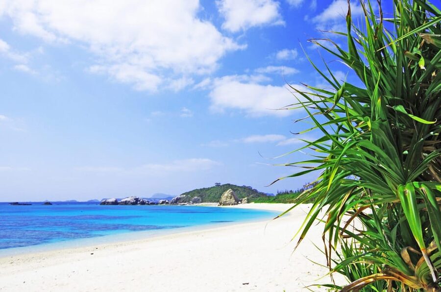 From Naha: Snorkeling Tour to Kerama by Ferry - What you may see beneath Kerama Blue