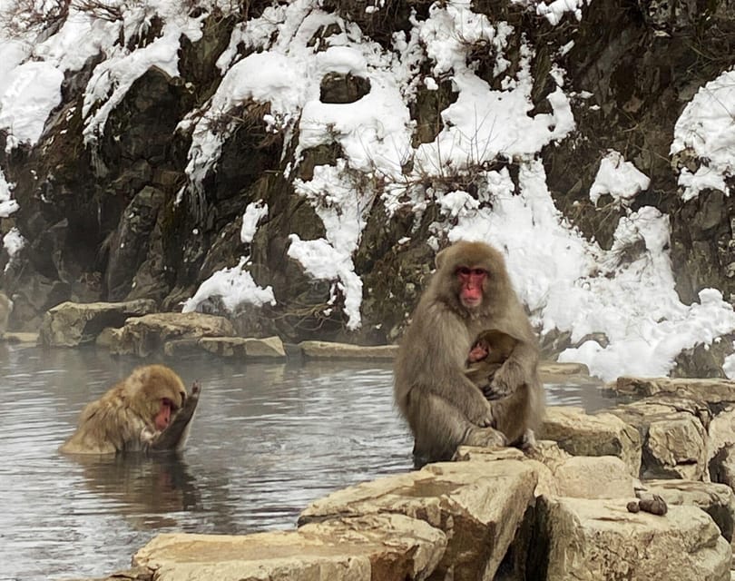 From Nozawa Onsen: Snow Monkeys and Zenko-ji Day Trip & Sake - The 75-minute ride to Zenko-ji