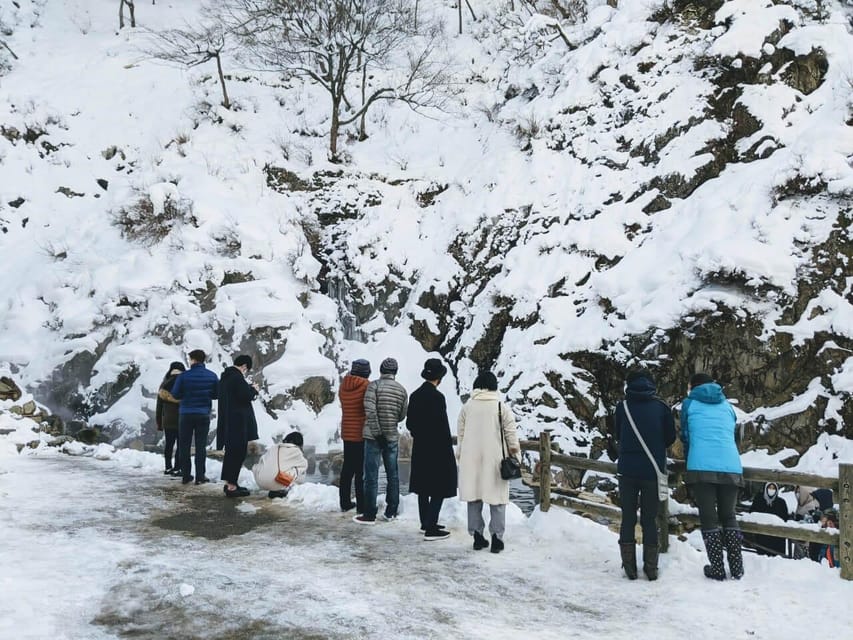 From Nozawa Onsen: Snow Monkeys and Zenko-ji Day Trip & Sake - Guides are a major part of the value