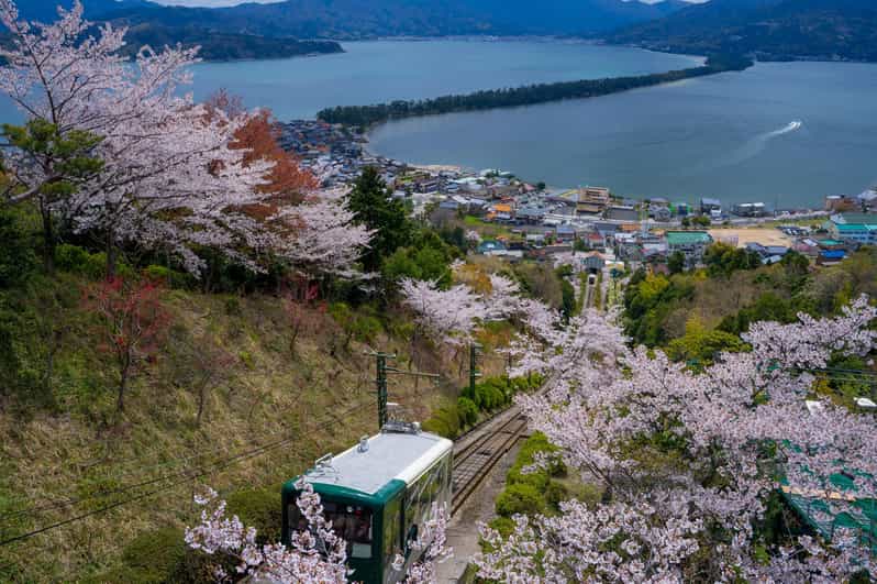 From Osaka: Amanohashidate and Ine Bay Day Trip - Key points to know before you book