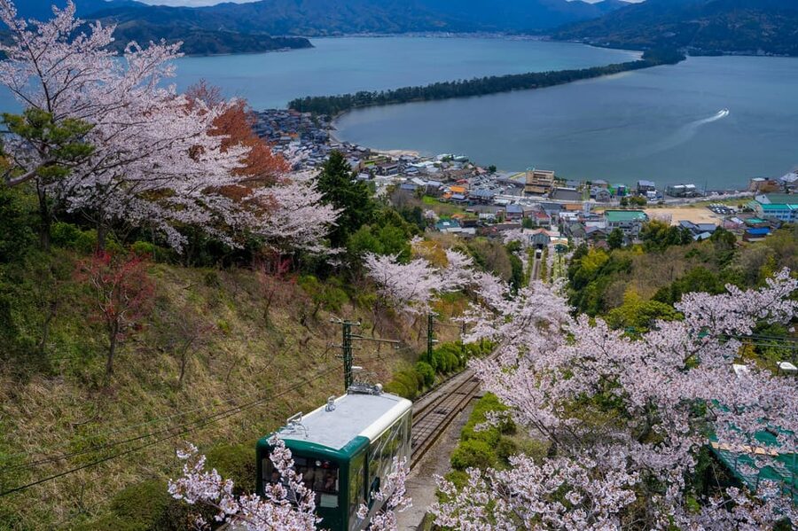 From Osaka: Amanohashidate and Ine Bay Day Trip - Two hours for lunch, walking, and coastal air