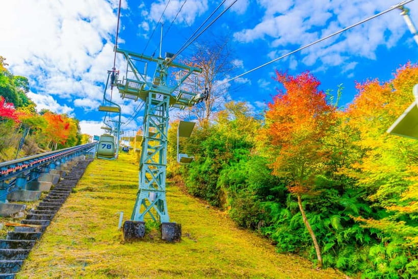 From Osaka: Amanohashidate and Ine Bay Day Trip - What the guide adds to a tightly timed day