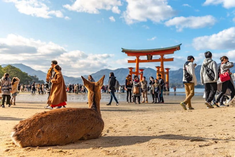 From Osaka: Hiroshima and Miyajima Day Trip by Bullet Train - The 105-minute Shinkansen ride from Shin-Osaka