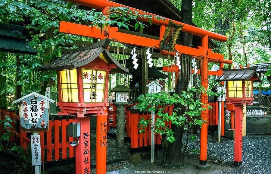 From Osaka: Kyoto, Nara, Fushimi Inari & Arashiyama Day Tour - Key points to know before booking