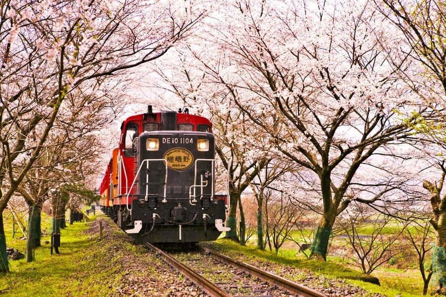 From Osaka: Kyoto, Nara, Fushimi Inari & Arashiyama Day Tour - Why this $56 tour can make sense from Osaka