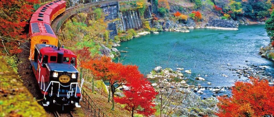 From Osaka: Kyoto, Nara, Fushimi Inari & Arashiyama Day Tour - Guides, language, and the shared-tour feel