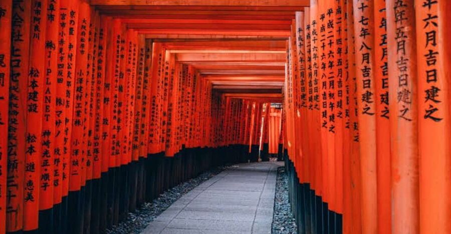 From Osaka/Kyoto: Private Kyoto & Nara Day Trip with Pickup - What this private Kyoto and Nara day trip is really for