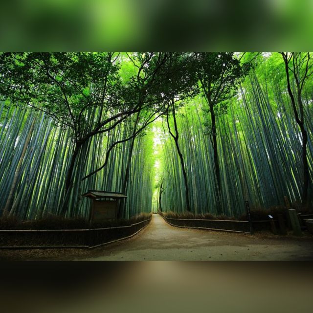 From Osaka/Kyoto: Private Kyoto & Nara Day Trip with Pickup - Arashiyama’s bamboo and river views in 70 minutes