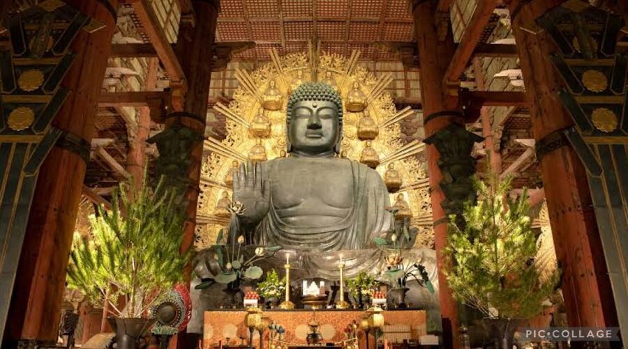 From Osaka/Kyoto: Private Kyoto & Nara Day Trip with Pickup - Fushimi Inari and the red torii gates