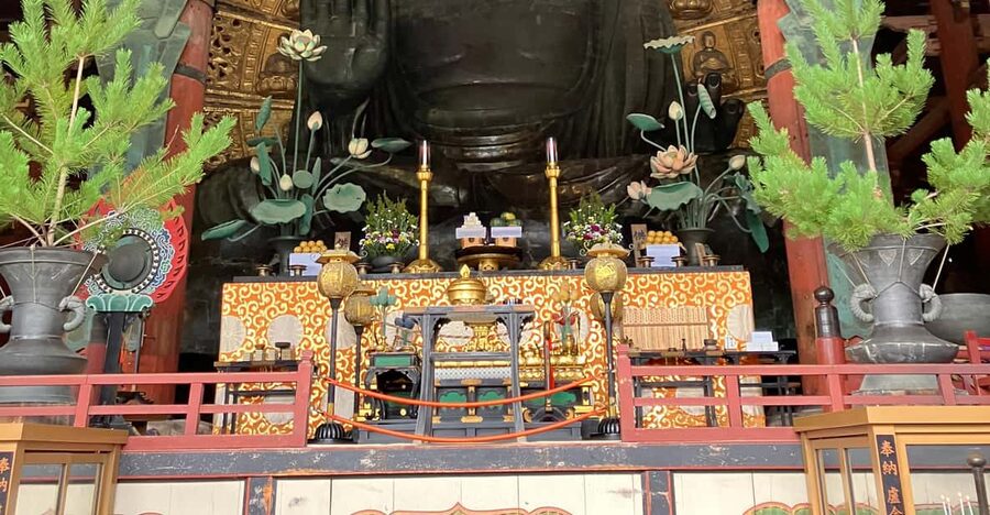 From Osaka: Nara Private Tour with Meet-Up at Your Hotel - Five things to know before booking