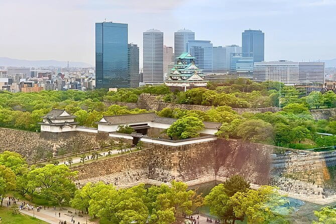 From Osaka or Kyoto: Full Day Sightseeing Tour of Kyoto - Guides can shape the entire day