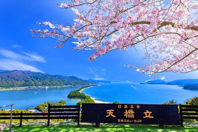 From Osaka or Kyoto: Full Day Sightseeing Tour of Kyoto - Meeting, group size, and useful planning notes
