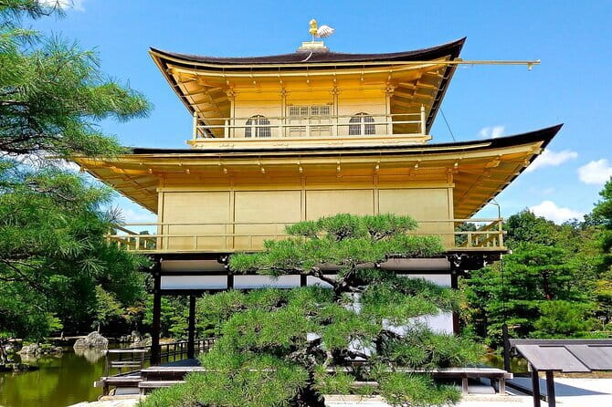 From Osaka or Kyoto: Kyoto and Nara 1-Day Bus Tour - Key points before you book
