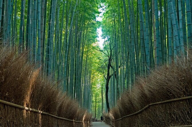 From Osaka or Kyoto: Kyoto and Nara 1-Day Bus Tour - Arashiyama: beautiful, crowded, and not always included