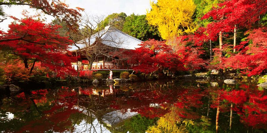 From Osaka: Private Customized Day Tour to Kyoto - Why this Osaka to Kyoto trip can work well