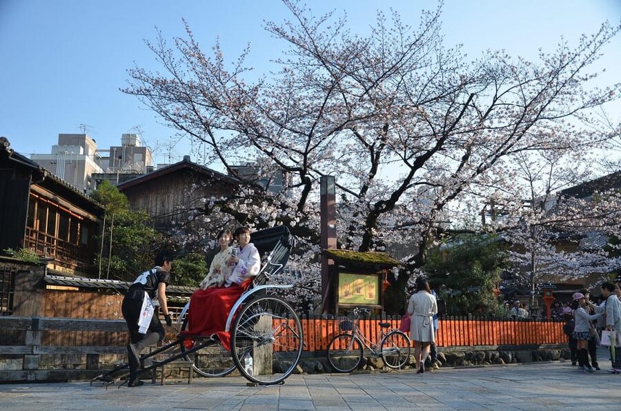 From Osaka: Private Customized Day Tour to Kyoto - Gion and Yasaka Shrine after lunch