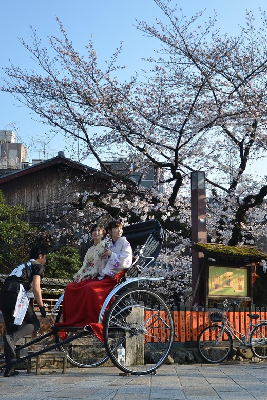 From Osaka: Private Customized Day Tour to Kyoto - Rain, crowds, and the value of flexibility