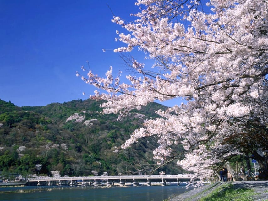 From Osaka: Sagano Train Ride and Kyoto Guided Day Tour - Key points to know before booking