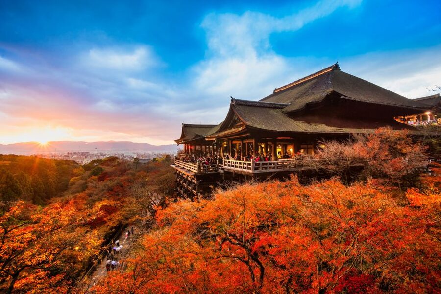 From Osaka: Sagano Train Ride and Kyoto Guided Day Tour - Guides, buses, and the rhythm of the day
