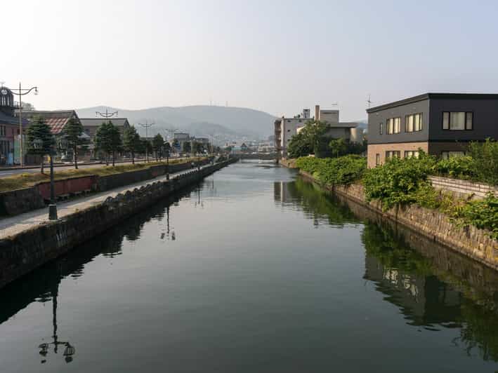 From Sapporo: Private Day Trip to Otaru - The train from Sapporo gives the outing a calm start