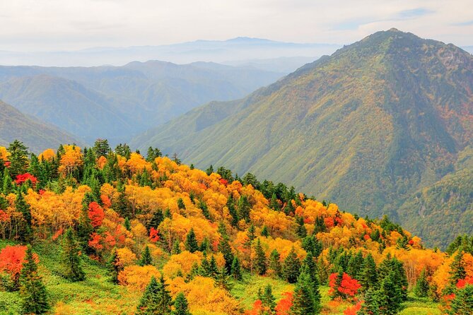 From Takayama: Alpine Splendor - Shinhotaka Ropeway and Kamikochi - What the $235.86 price buys you