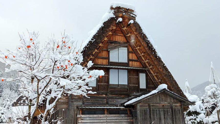 From Takayama: Guided Day Trip to Takayama and Shirakawa-go - Key points to know before booking