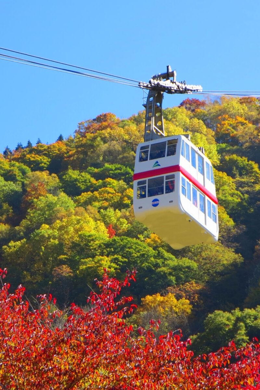 From Takayama: Shinhotaka Ropeway and Kamikochi tour - Making the most of 90 minutes alone