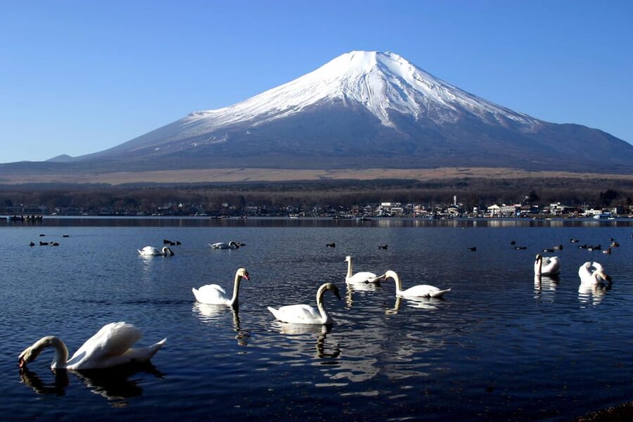 From Tokyo: Fuji Mountain Area - FujiQ - Lake Kawaguchiko - Chureito Pagoda - Oishi Park and the first great Fuji photograph