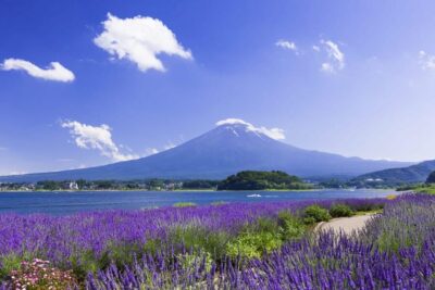 Fuji Mountain Area – FujiQ – Lake Kawaguchiko – Chureito Pagoda