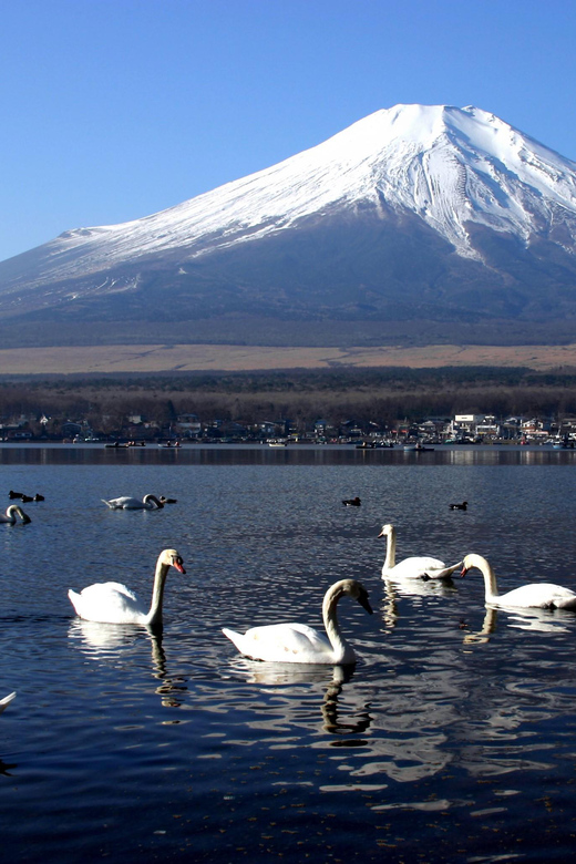From Tokyo: Fuji Mountain Area - FujiQ - Lake Kawaguchiko - Chureito Pagoda - Chureito Pagoda and the famous hillside view