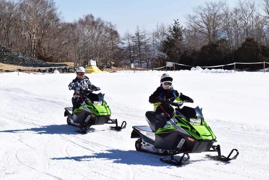 From Tokyo: Fujiyama Snow Resort Yeti Winter Ski Day Tour - Why the lesson can be worth the extra cost