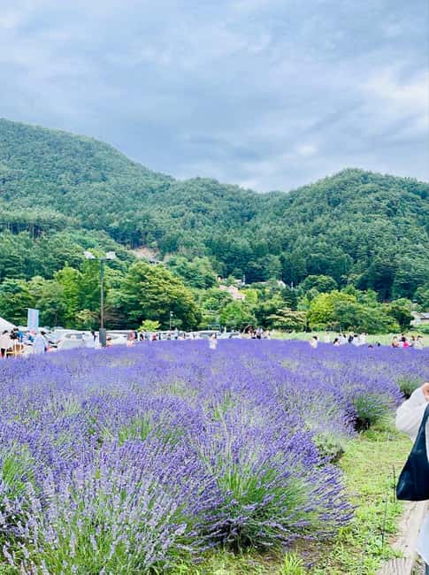 From Tokyo: Full-Day Mount Fuji Tour in English or Spanish - Why this 10-hour trip works from Tokyo