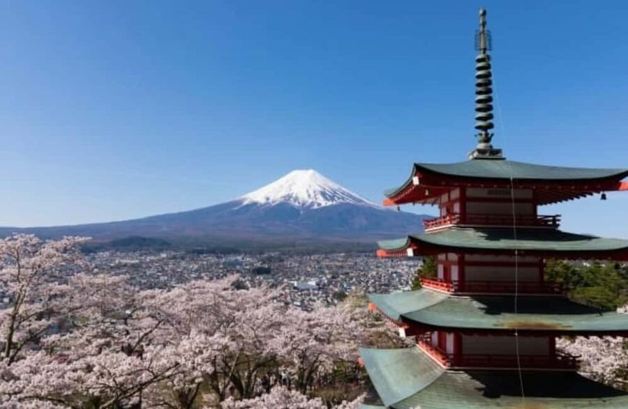 From Tokyo: Full-Day Mount Fuji Tour in English or Spanish - Oishi Park, flowers, fruit, and ice cream
