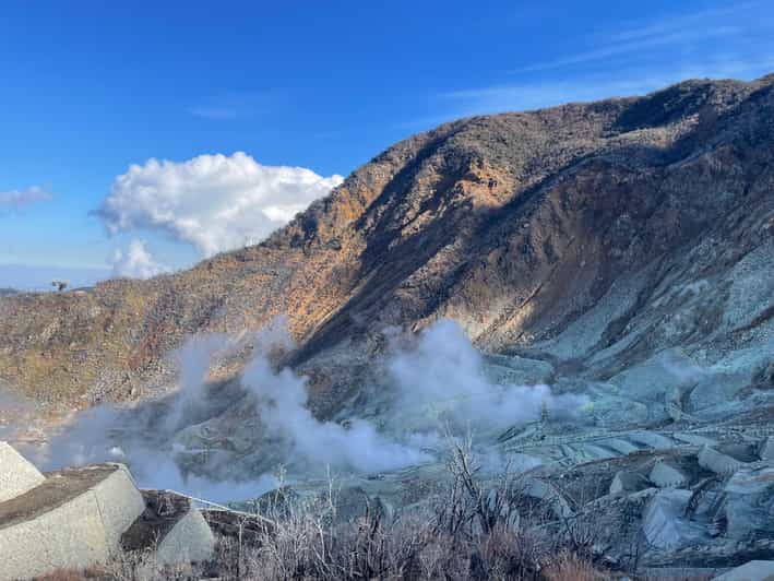 From Tokyo: Hakone Full Day Customizable Private Tour - Why a private Hakone day trip from Tokyo makes sense