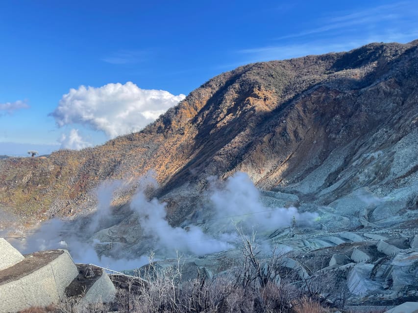 From Tokyo: Hakone Full Day Customizable Private Tour - Toyama Park and the Mount Hakone area