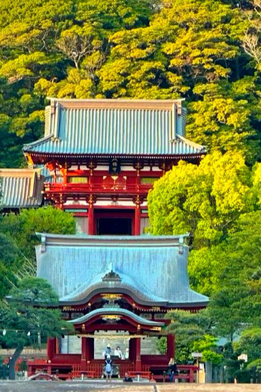 From Tokyo: Kamakura and Enoshima Full-Day Private Trip - Why this private day trip works from Tokyo