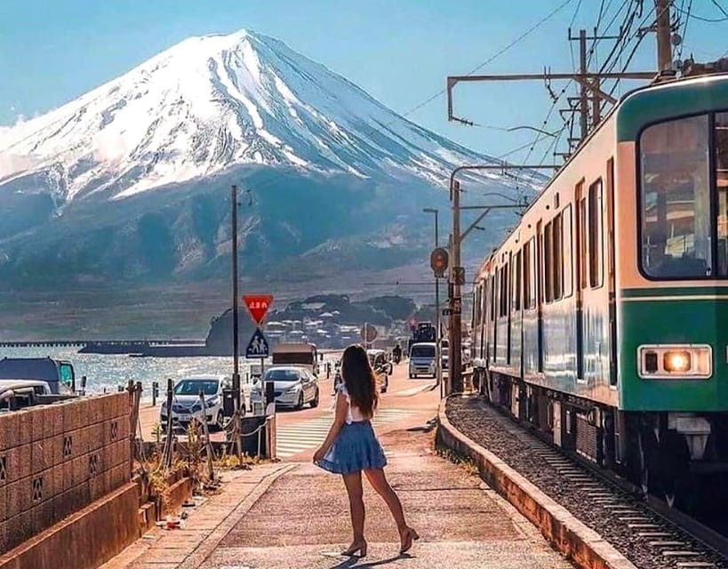 From Tokyo: Kamakura and Enoshima Full-Day Private Trip - The $451 price and who gets good value