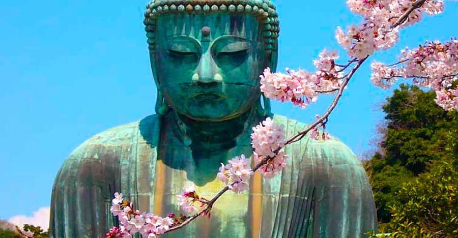From Tokyo: Kamakura and Enoshima Full-Day Private Trip - Great Buddha: Kamakura’s essential first stop