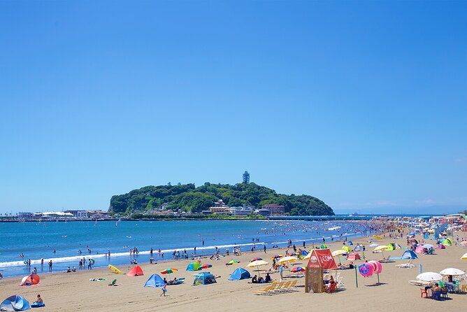 From Tokyo: Kamakura & Enoshima 1-Day Bus Tour - What the guide adds, and where the tour can vary