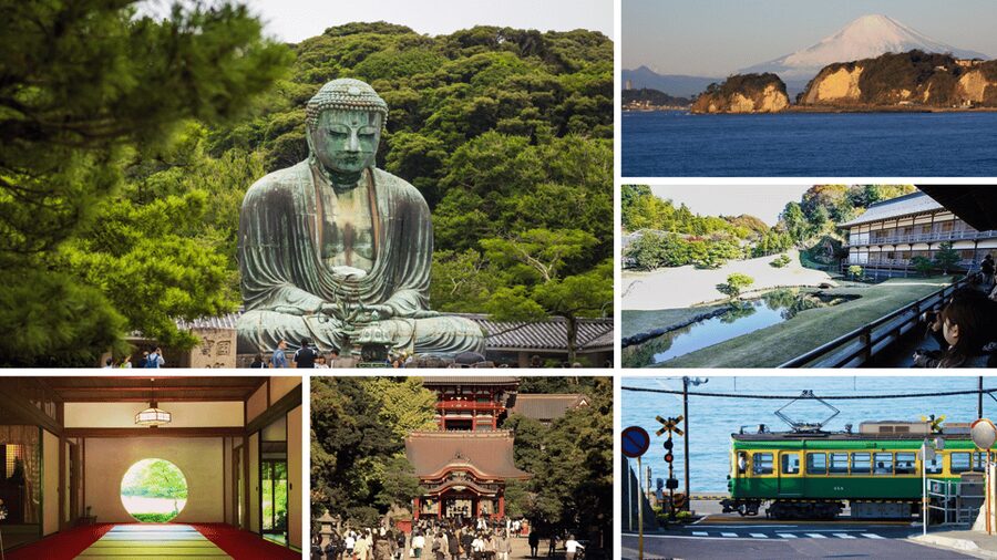 From Tokyo: Kamakura Full Day Tour with a Local Expert Guide - The Great Buddha: the day’s big visual moment
