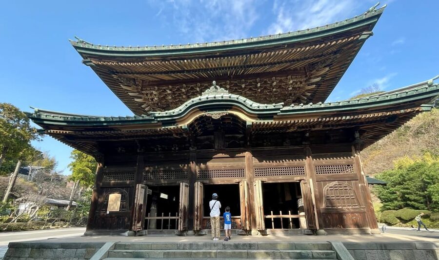 From Tokyo: Kamakura Full Day Tour with a Local Expert Guide - Gardens, scenery, and the walking pace